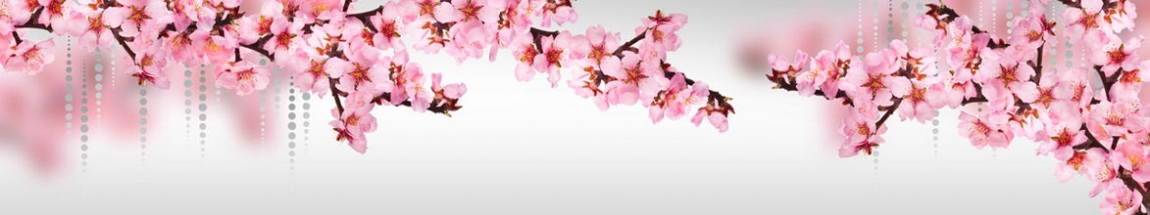 skinali 1200